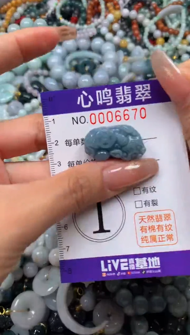 翡翠未镶嵌颈饰闪购006670