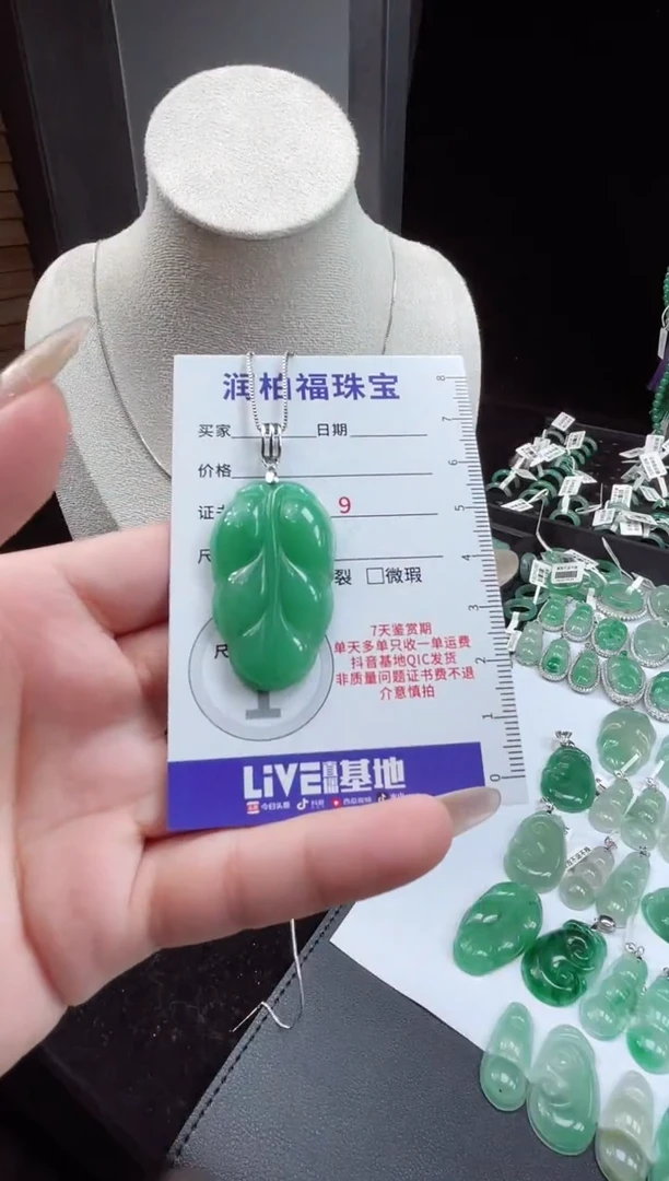 吊坠(不含链)银S925镶嵌石英质玉（非洲翠）叶子26.246