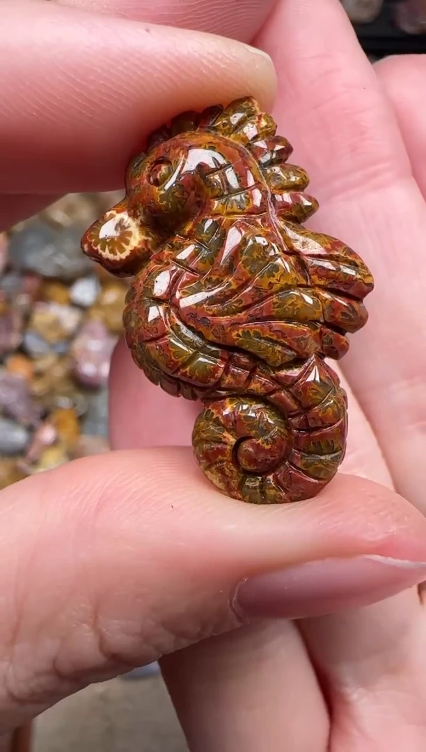 颈饰未镶嵌硅化珊瑚（珊瑚玉）780