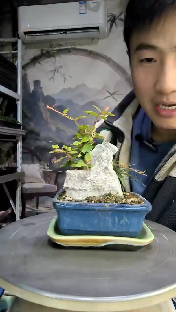 R***n中青园艺一物一拍173