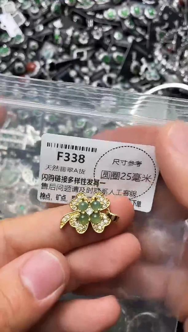 翡翠未镶嵌颈饰F338吊坠
