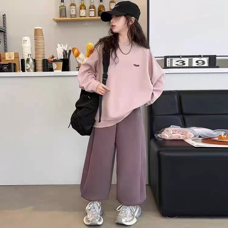 女童春季套装粉色卫衣新款时尚女孩运动紫色裤子两件套A-17-16-1