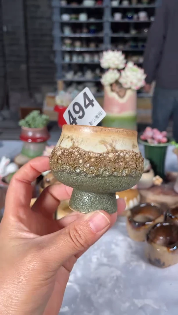 瓷片494小芳直播编号