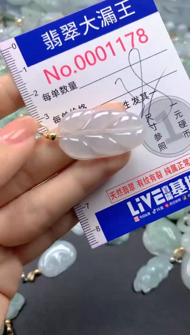 颈饰未镶嵌翡翠1178
