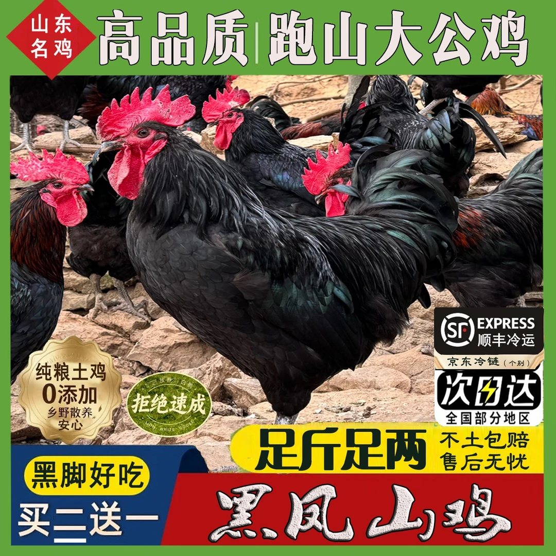 【黑脚真土鸡】大公鸡毛重18-20斤4只买3送1 净重9-10斤现杀带内脏