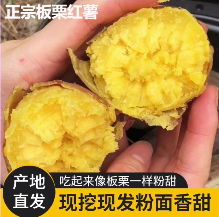 【2025板栗红薯】2-9斤带箱装 红皮 黄心 软糯香甜 新鲜 番薯 地瓜