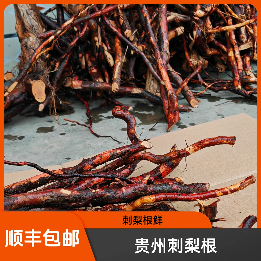 刺梨根鲜条（顺丰包邮）贵州刺梨根泡酒泡茶炖汤 茨藜根山刺梨根
