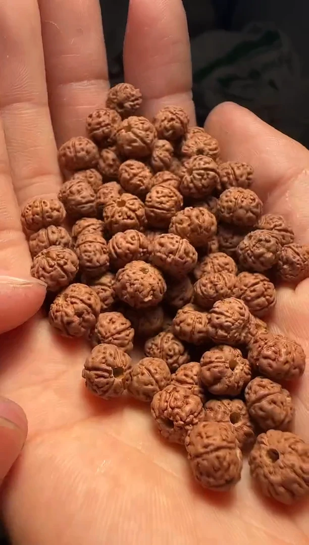 手串金刚菩提非全品老树王散籽8-9mm一份一百颗