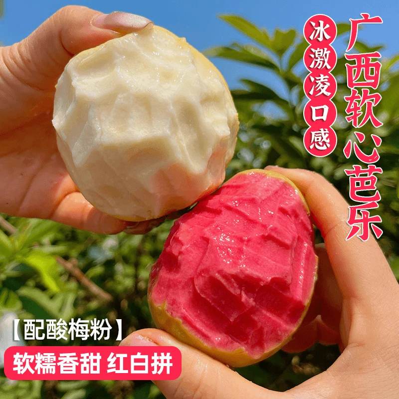 广西草莓奶油软芭乐新鲜树上熟当季水果番石榴源当季水果