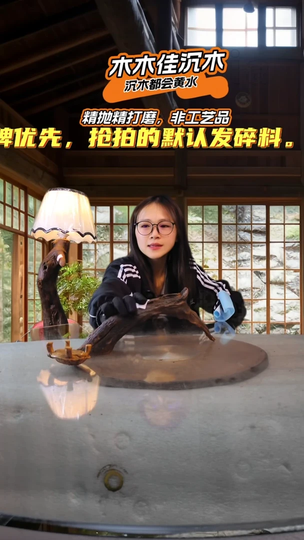 @****年木木佳沉木鱼缸造景