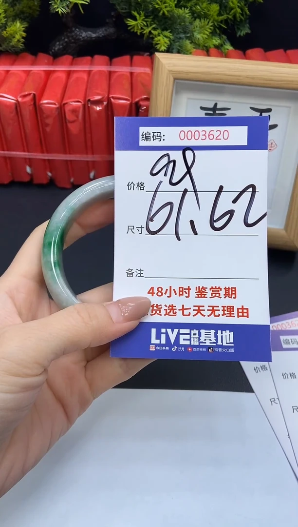 未镶嵌手镯翡翠0003620