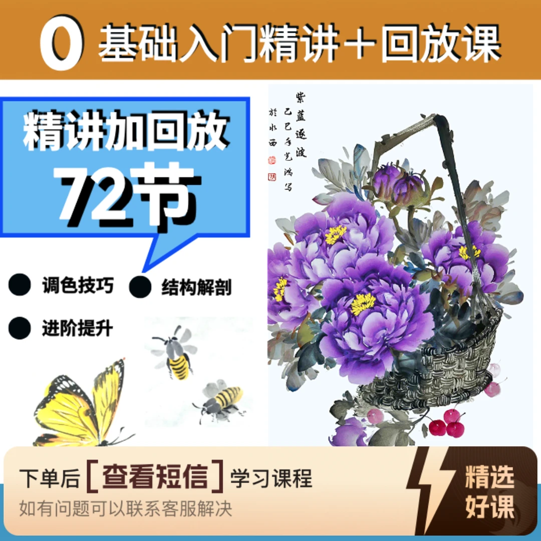 零基础入门精讲加回放课（留意短信解锁课程）