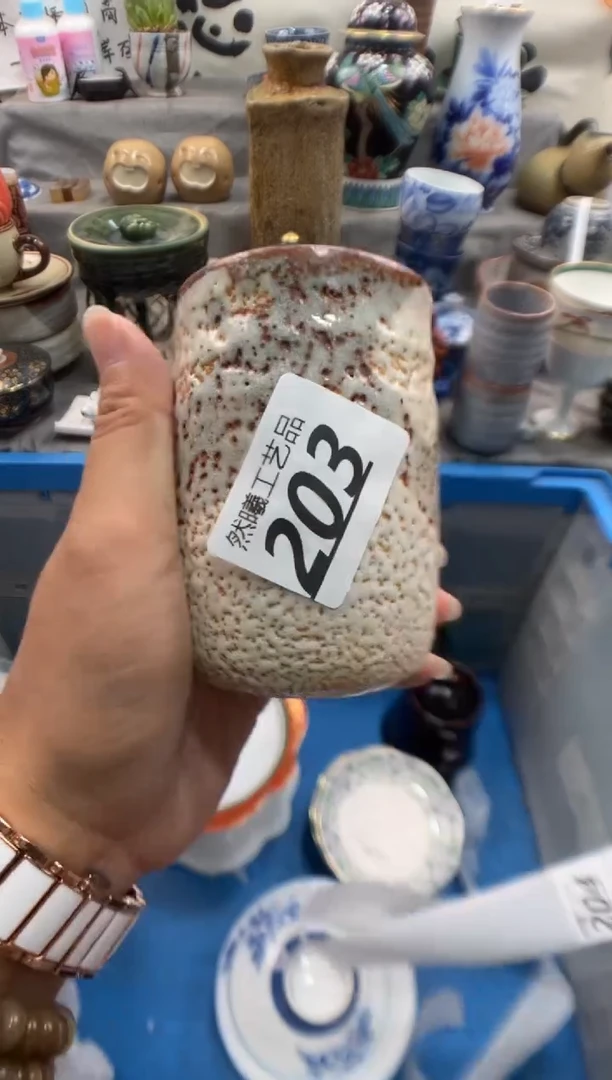 瓷片D****d203