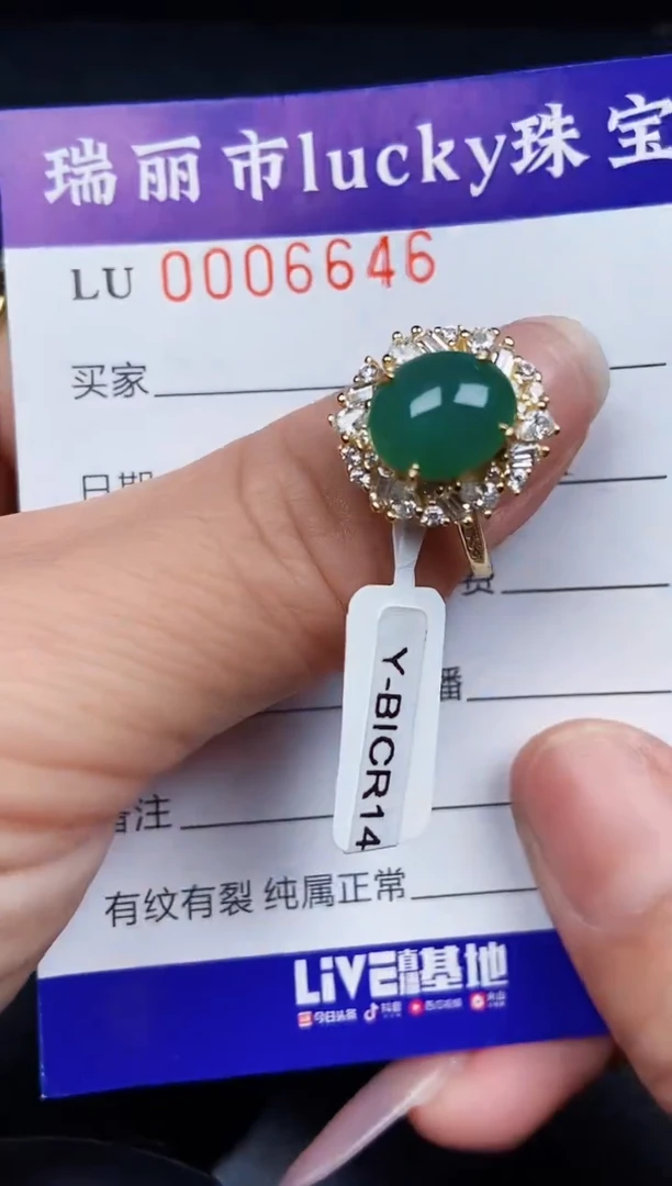 翡翠银S925镶嵌颈饰6646