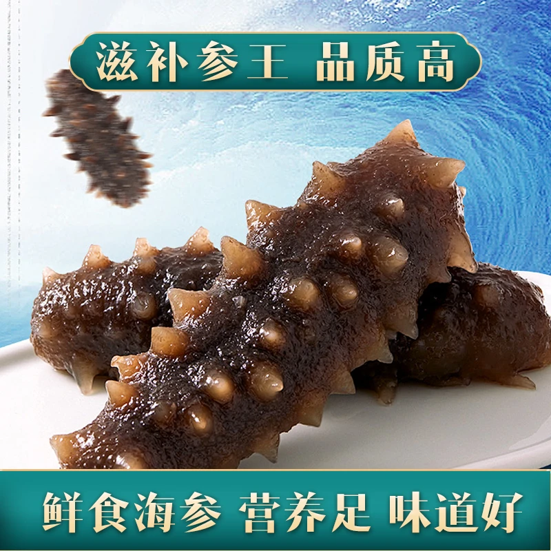 【鲜蒸即食海参】7-9大连辽刺参鲜食辽参海参大连发货