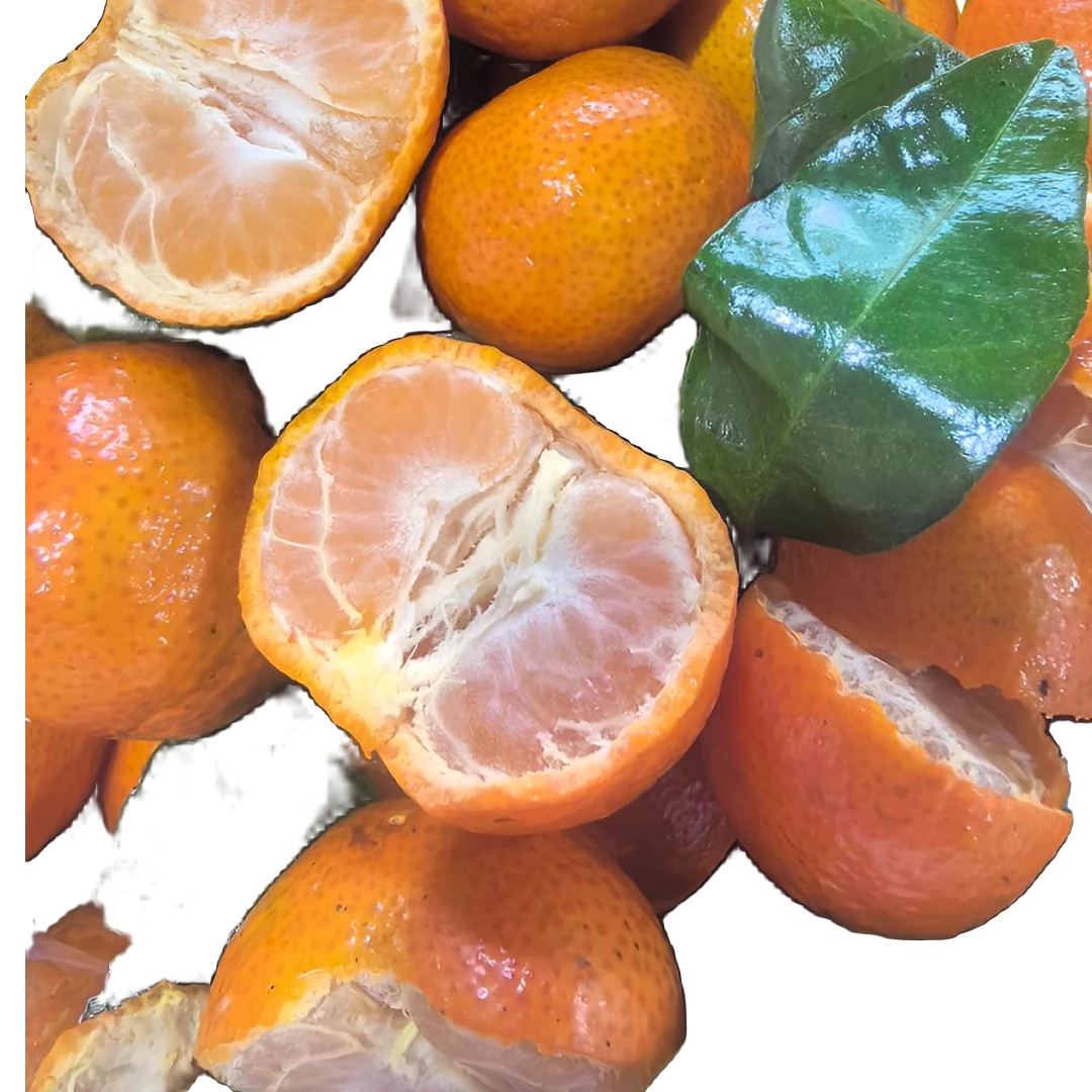 《鲜果生鲜》广西沙糖桔 净果5斤/箱 （不知火）沙糖桔广西壮族自治区广西壮族自治区临夏回族自治州