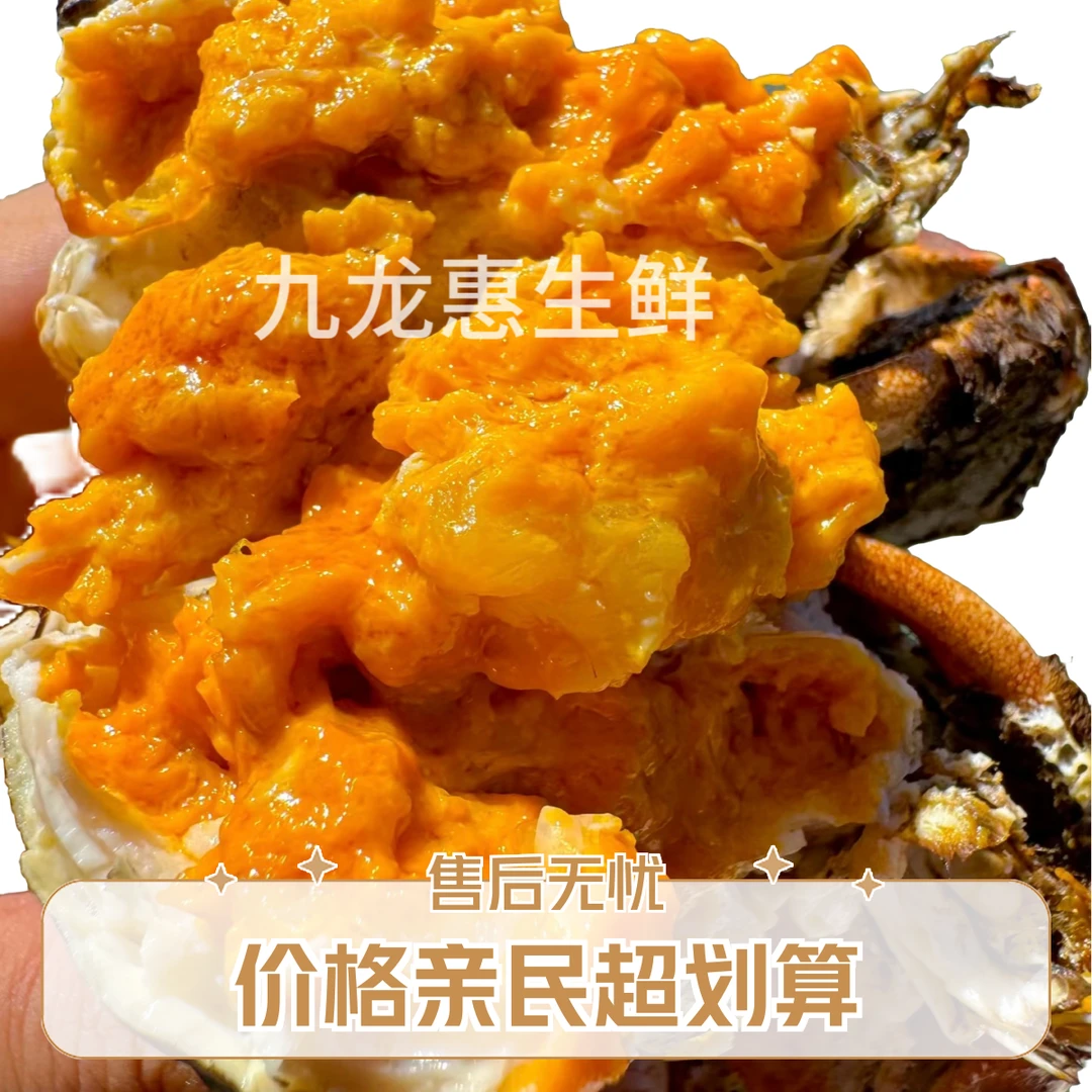 39.9鲜活六只一两母大闸蟹六月黄（单只约1.3-1.5）