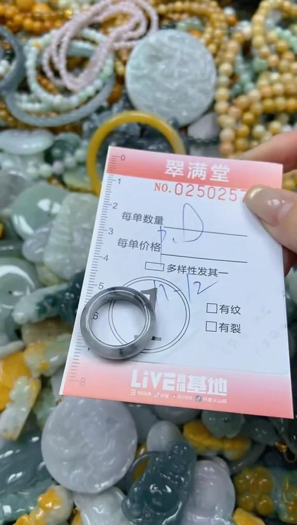 未镶嵌挂件翡翠闪购0250257