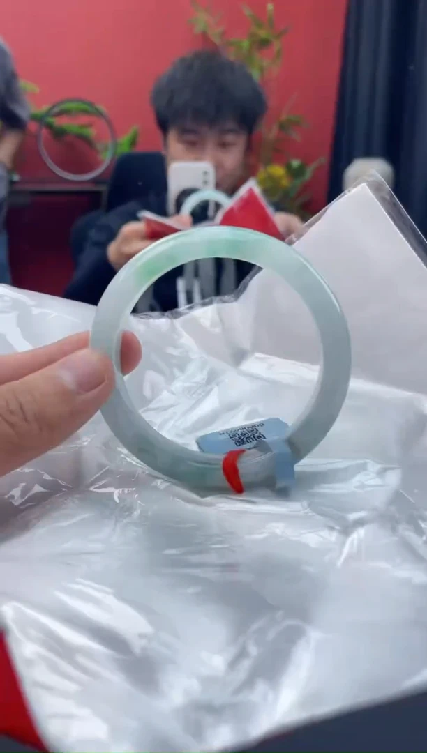 未镶嵌手镯翡翠12