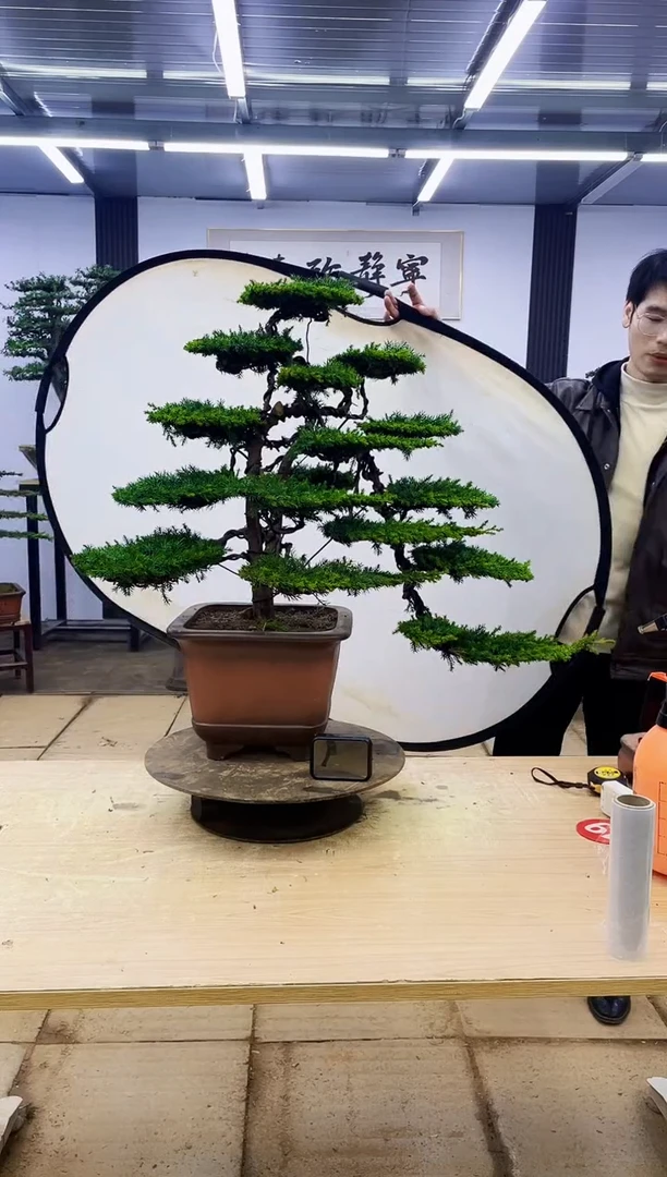 无花朵刘**九000000000000