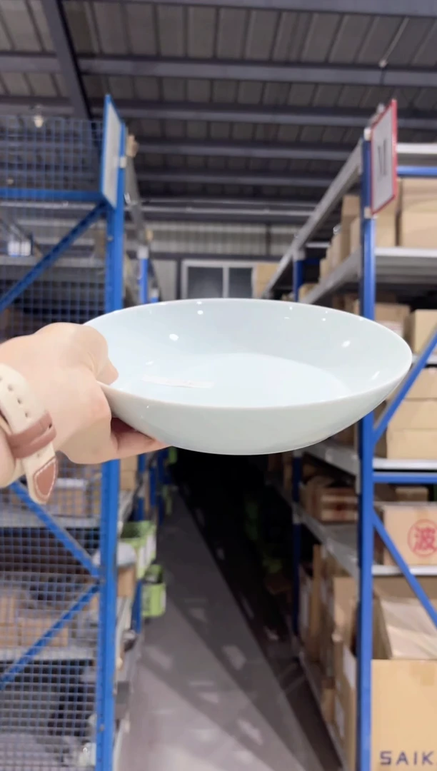 搪瓷白山　エスライン　22cm深皿　青白磁