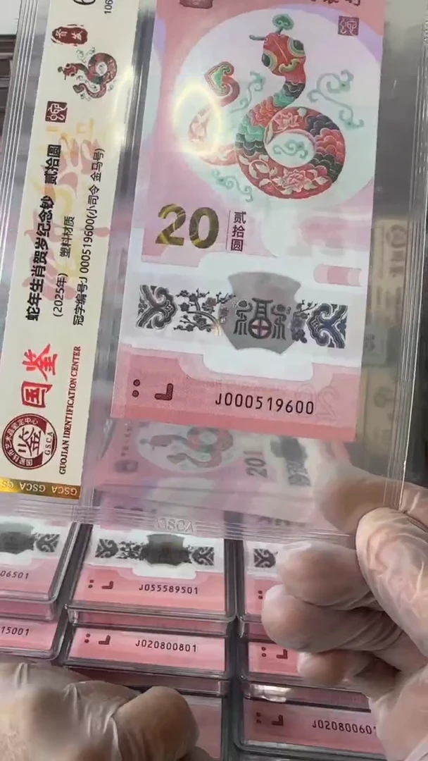 【闪购商品】塑料000519600-蛇钞单张！