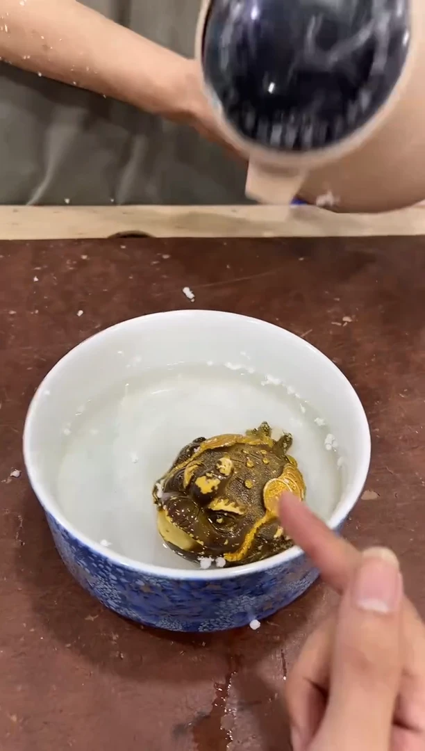 其他@@@@@@@@@@@无礼盒