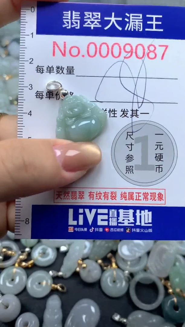 颈饰未镶嵌翡翠9087