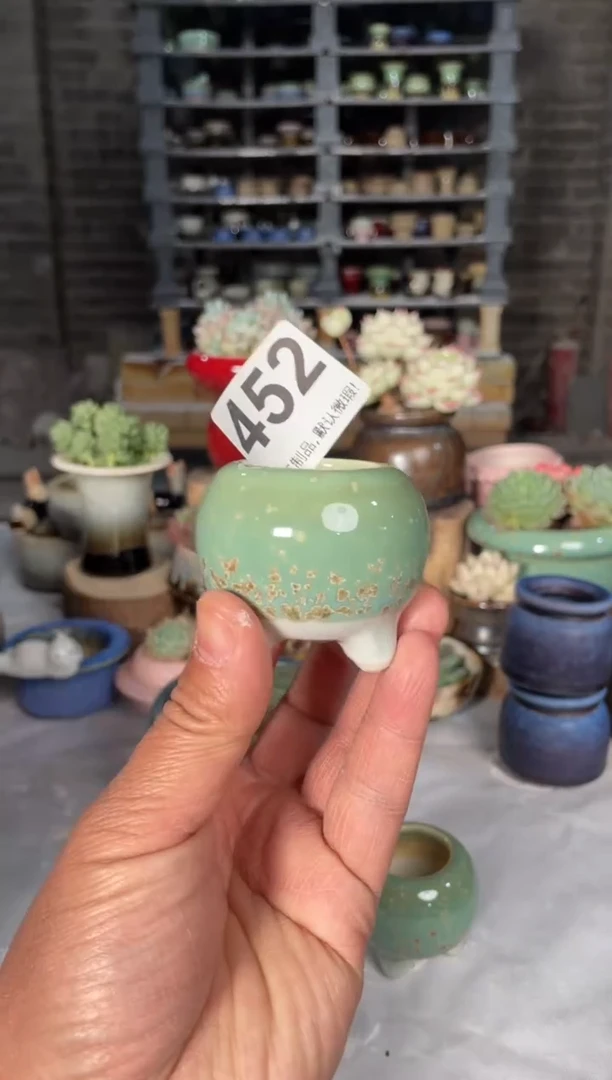 瓷片452小芳直播编号