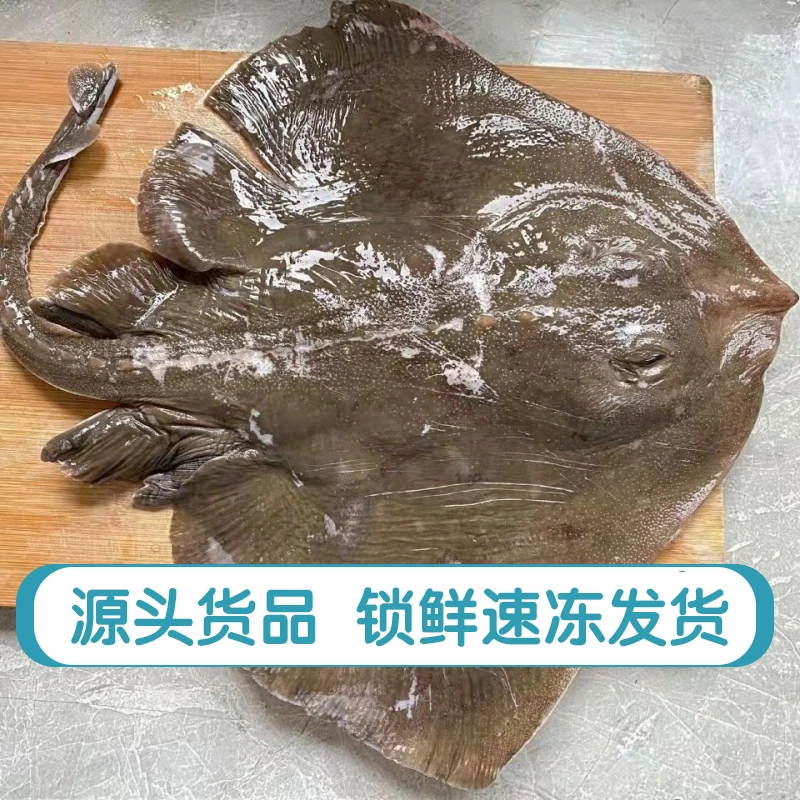 小老板鱼-魔鬼鱼2-3条/斤/3斤装（京东冷链速运）