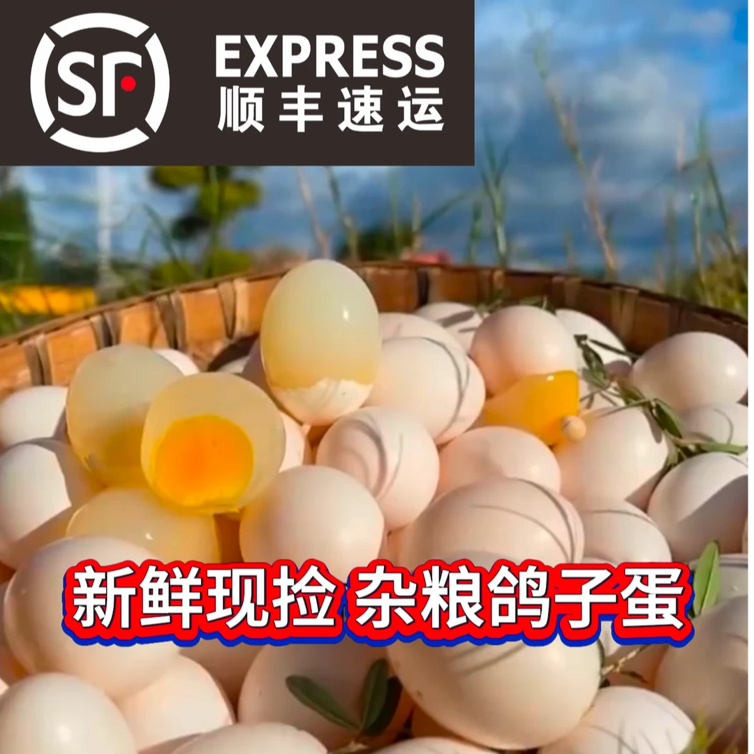 【破损包赔】农家杂粮鸽子蛋新鲜孕妇宝宝鸽子蛋30枚天然鸽子蛋