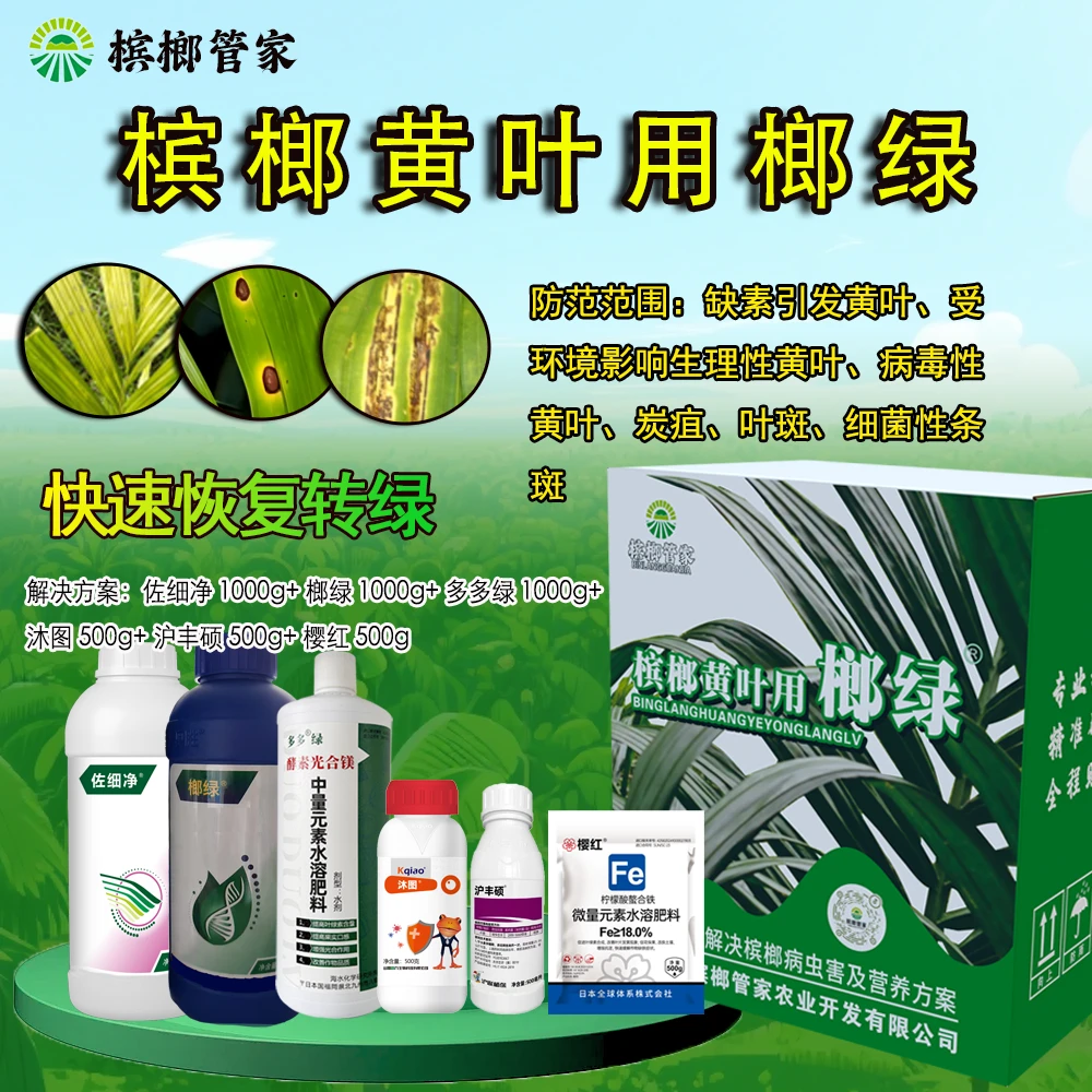 榔绿绿叶套餐槟榔黄叶用榔绿黄叶转绿叶面肥槟榔管家