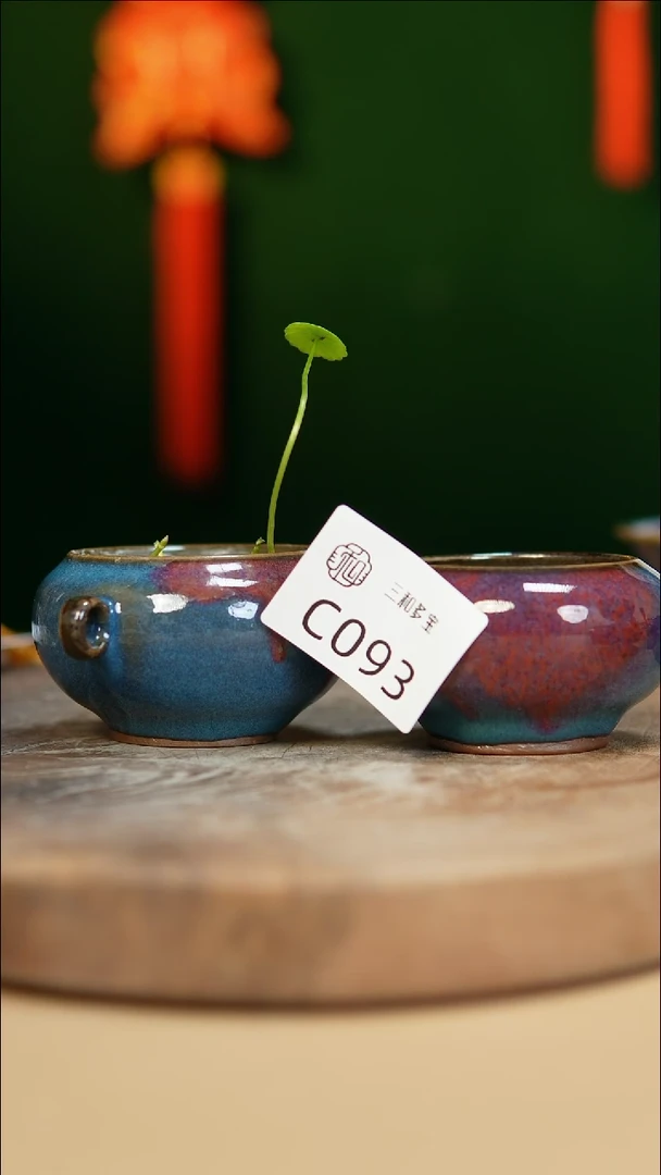 【闪购商品】【郑在说瓷】﹣郑郑--C093