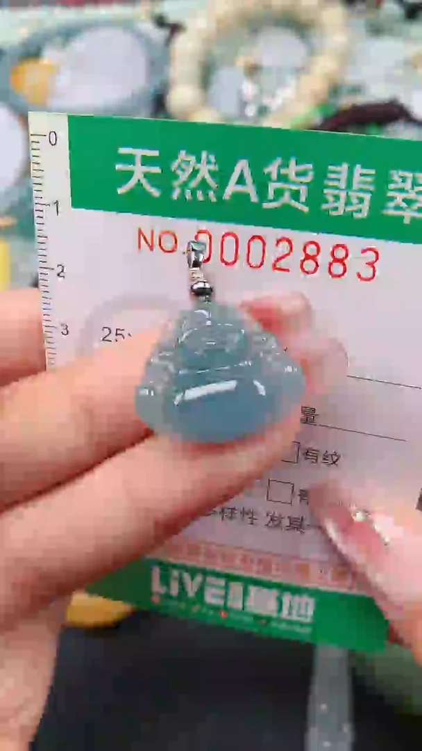 颈饰未镶嵌翡翠.0002883