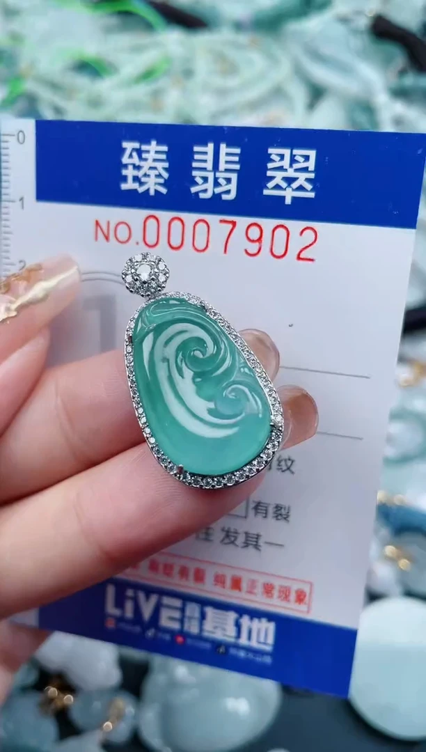 【闪购商品】翡翠颈饰未镶嵌.0007902