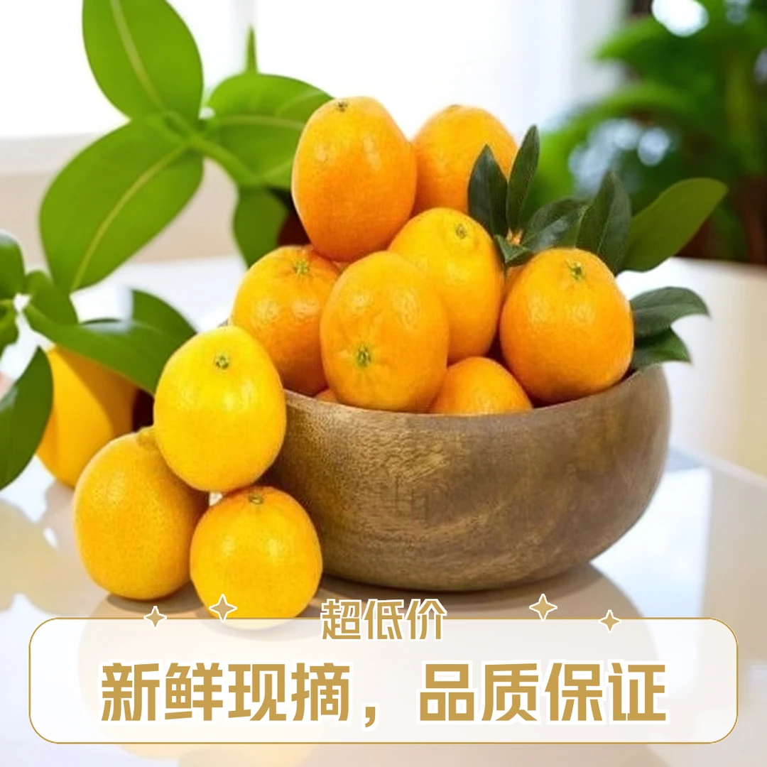 框装砂糖桔【好东西】