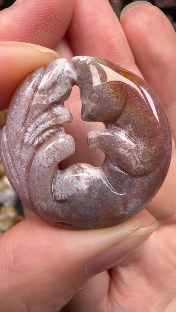 硅化珊瑚（珊瑚玉）未镶嵌颈饰193