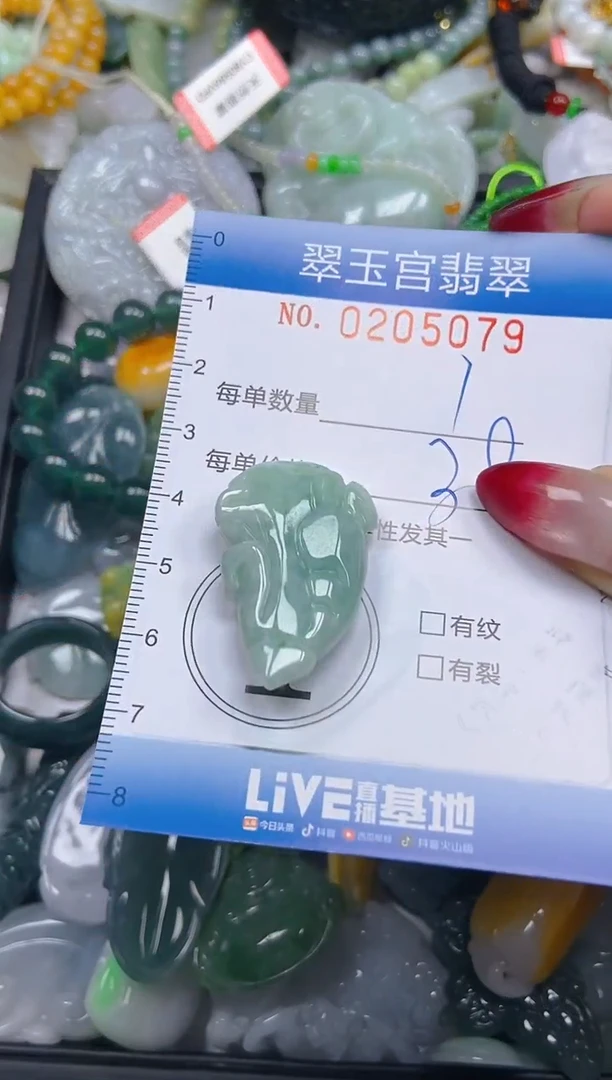 颈饰未镶嵌翡翠闪购C0205079