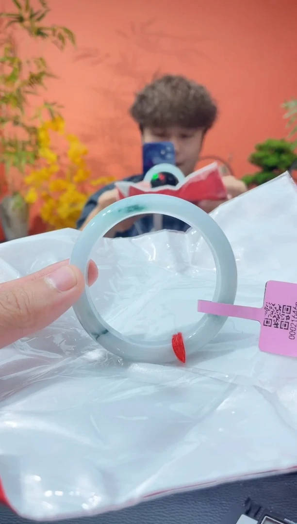 未镶嵌手镯翡翠5