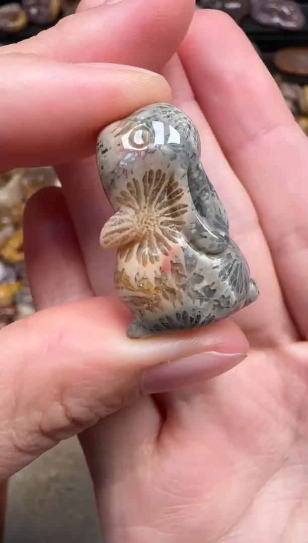 颈饰未镶嵌硅化珊瑚（珊瑚玉）224