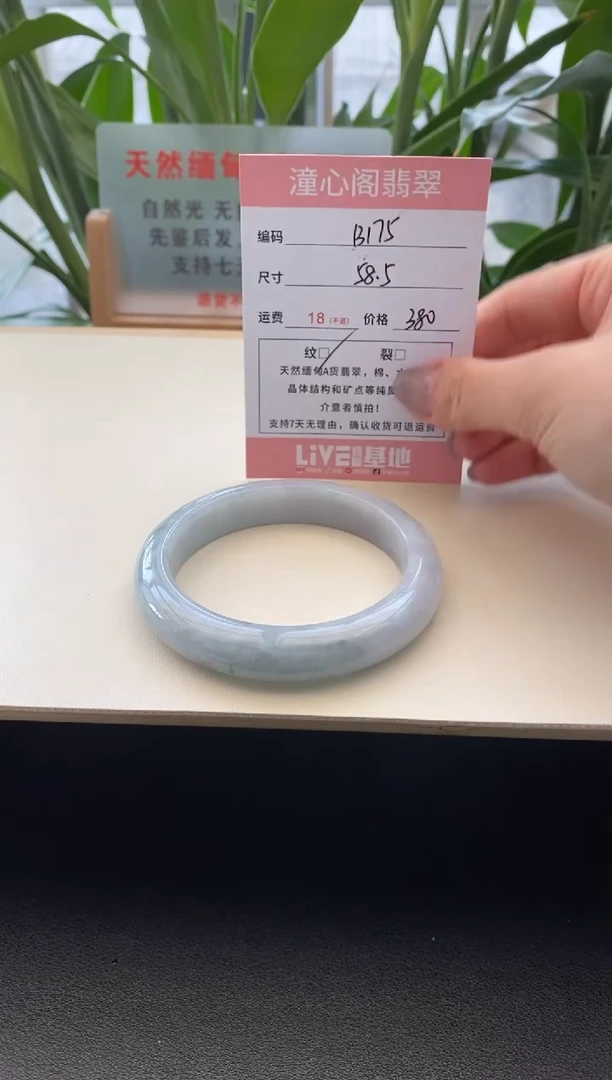 未镶嵌手镯翡翠58.5圈口B175