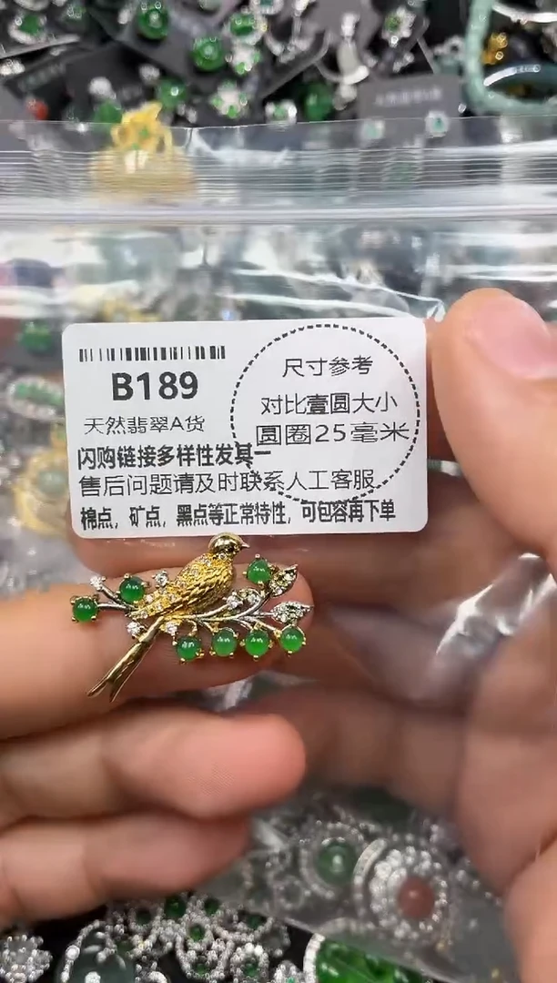 颈饰未镶嵌翡翠B189吊坠