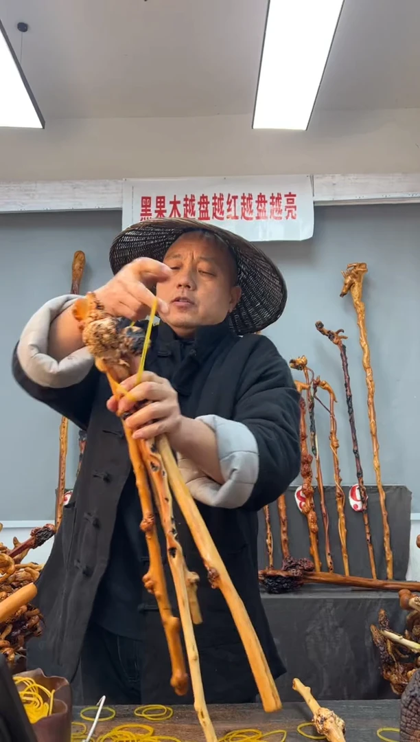 【闪购商品】黑果木其他黑果木146