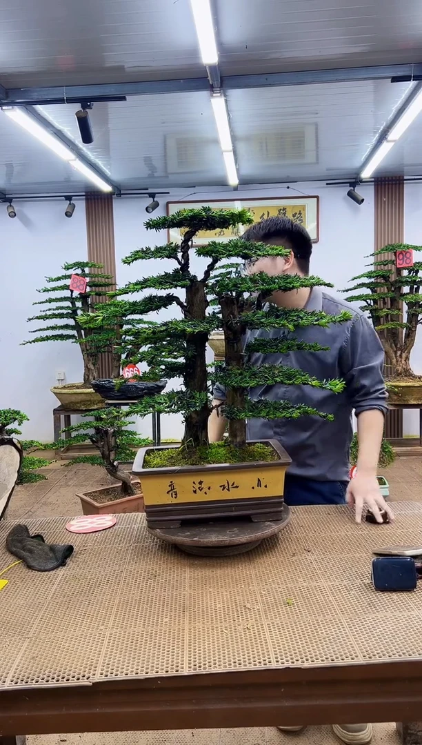 无花朵一物一拍，所见即所得