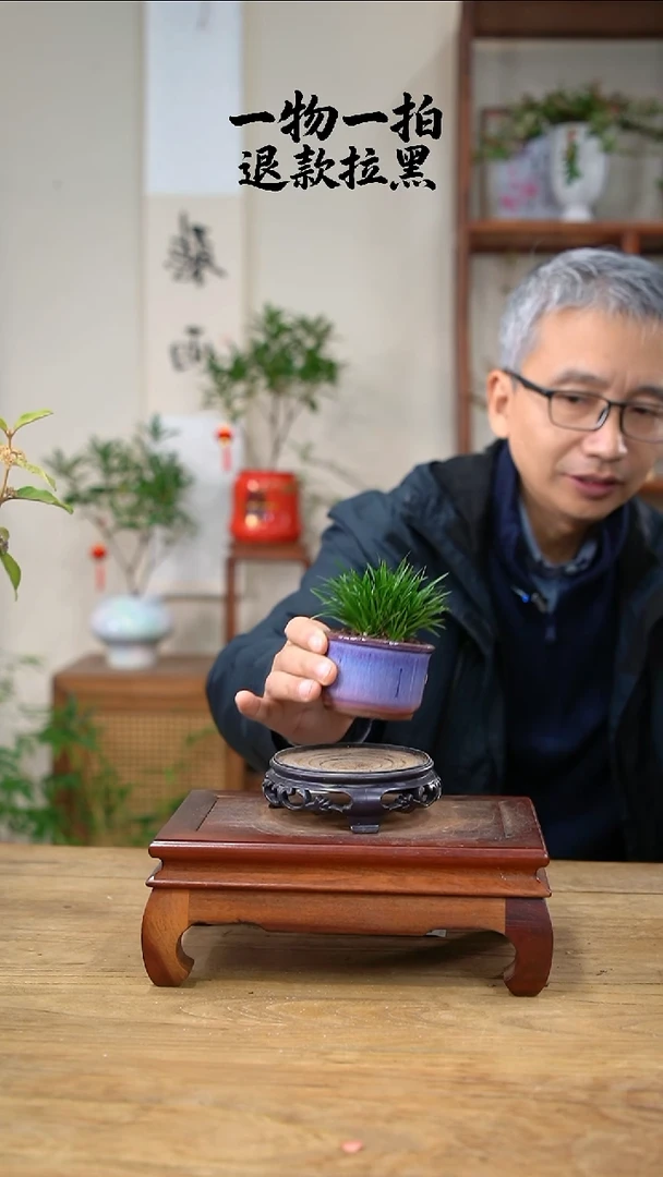 完全开放玩****?金钱菖蒲357