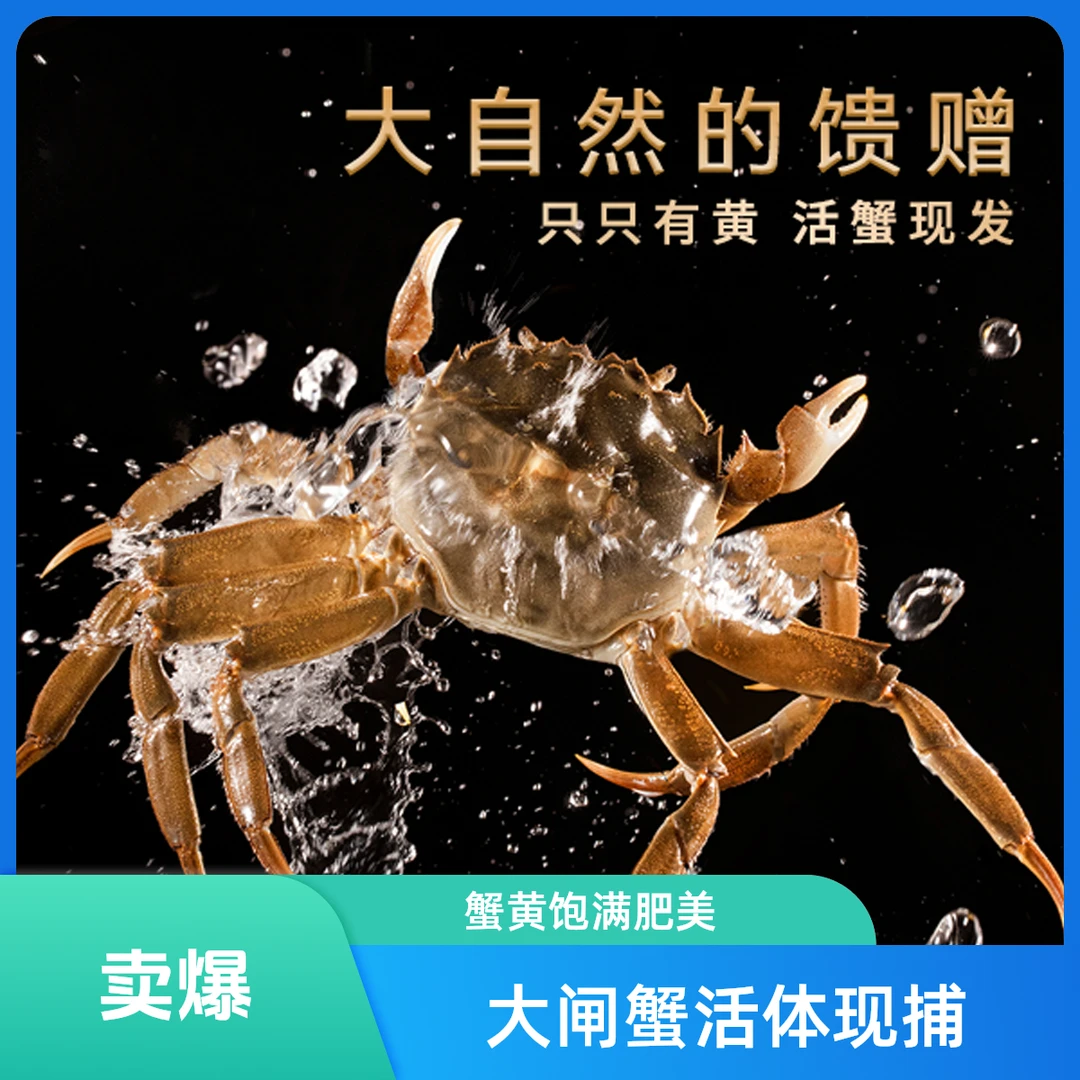 江苏大闸蟹 全母蟹 1.8-2.0 两 7只 次日达