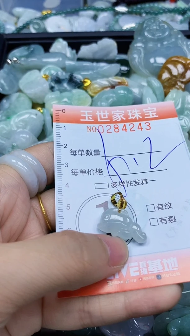 翡翠未镶嵌颈饰闪购0284243