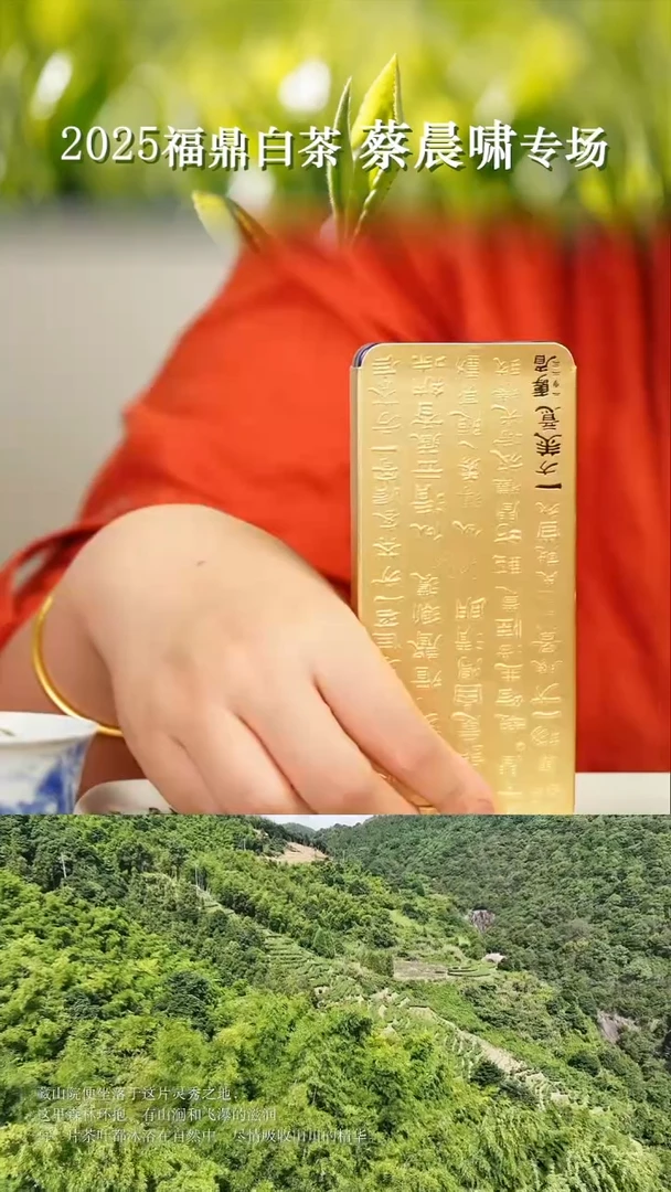 茶壶紫砂福利四片2023紫罐一方美意30克