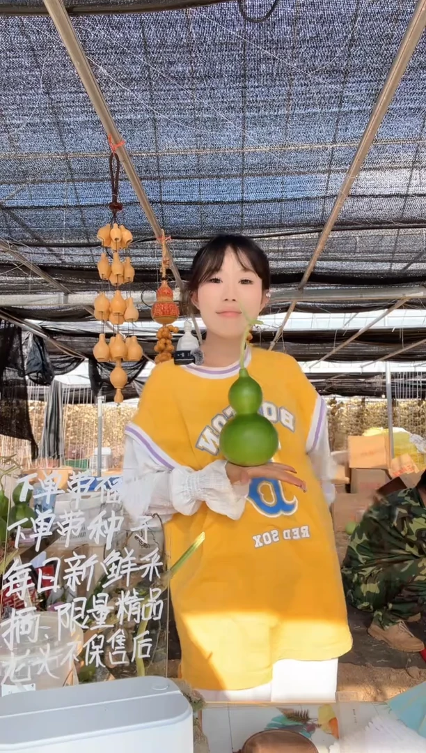 573天然葫芦摆件 一物一拍龙头不保售后
