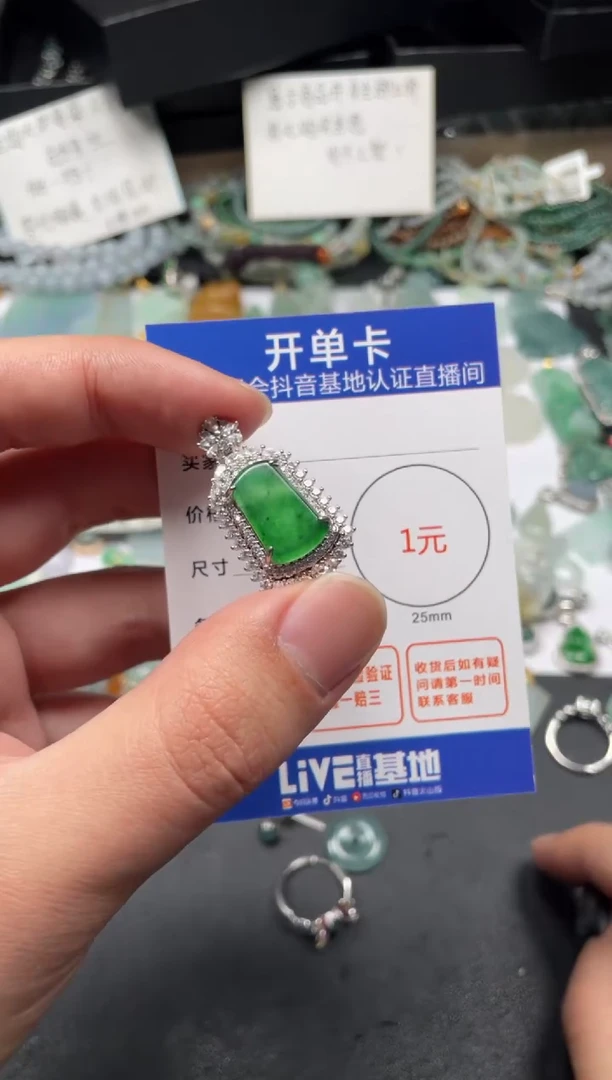 【闪购商品】翡翠颈饰未镶嵌无事牌